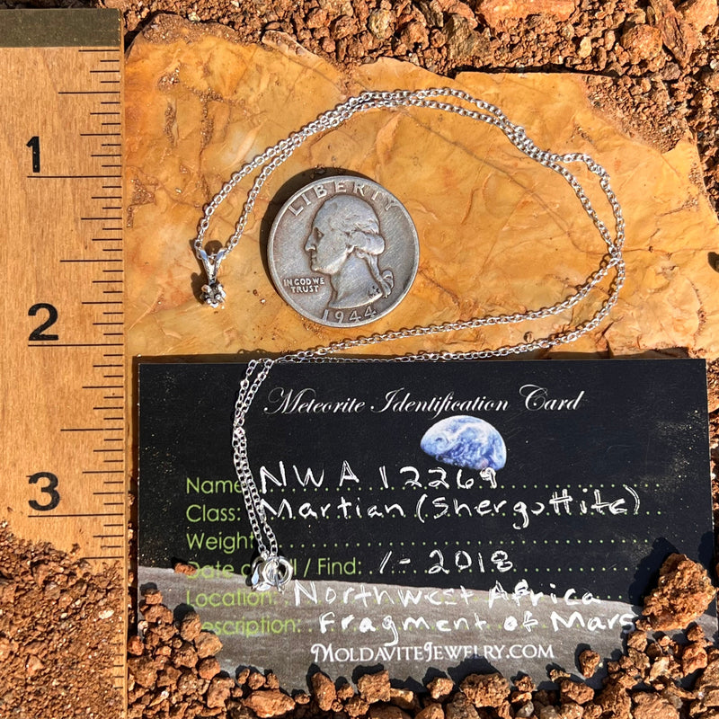 Mars Meteorite Pendant Necklace Sterling #6336-Moldavite Life