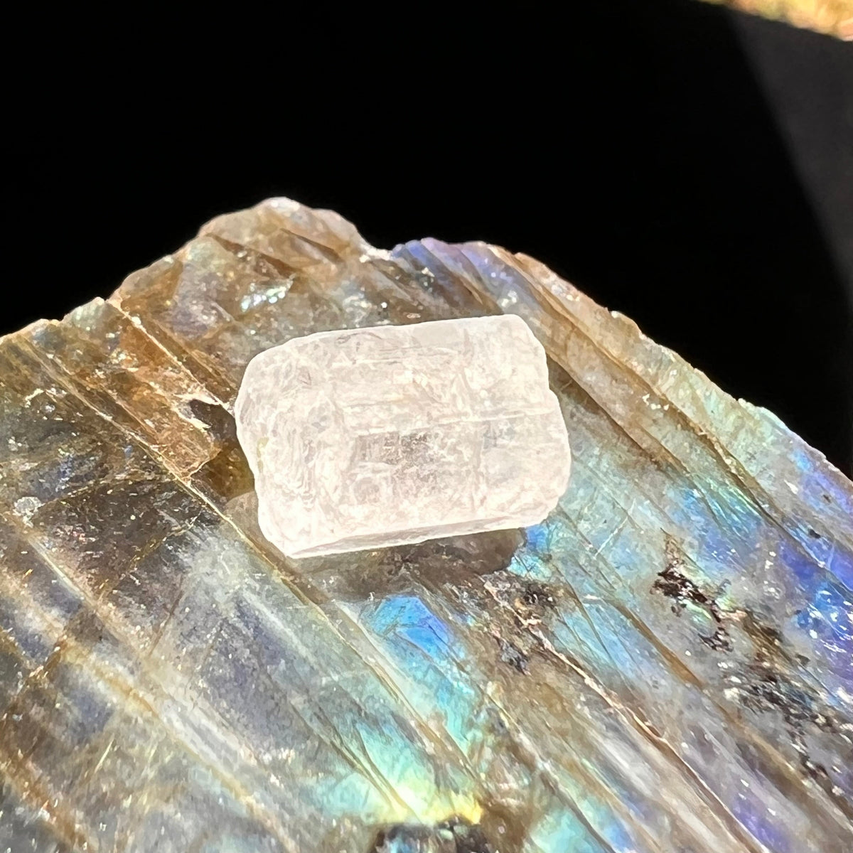 Phenacite Crystal #40-Moldavite Life