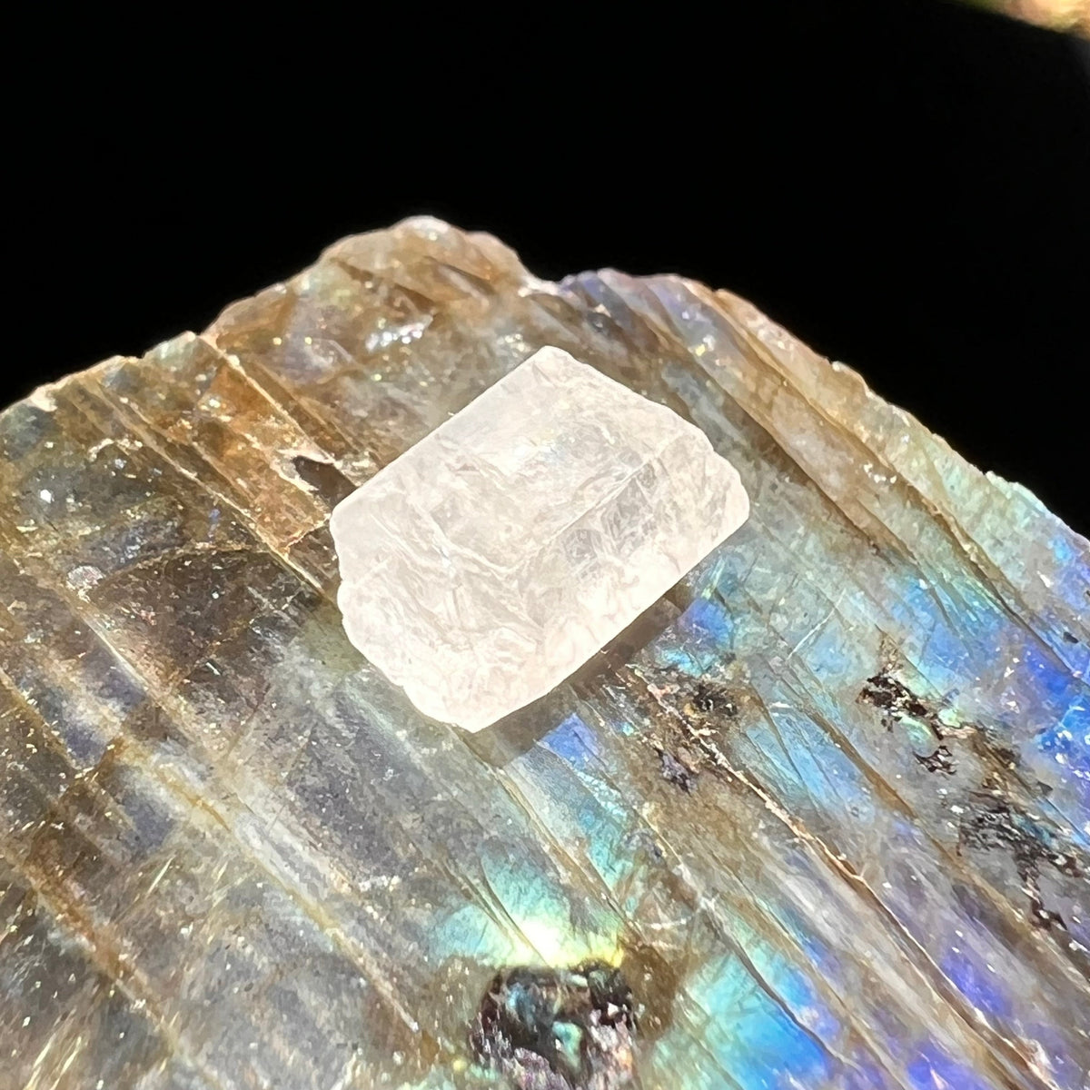 Phenacite Crystal #40-Moldavite Life