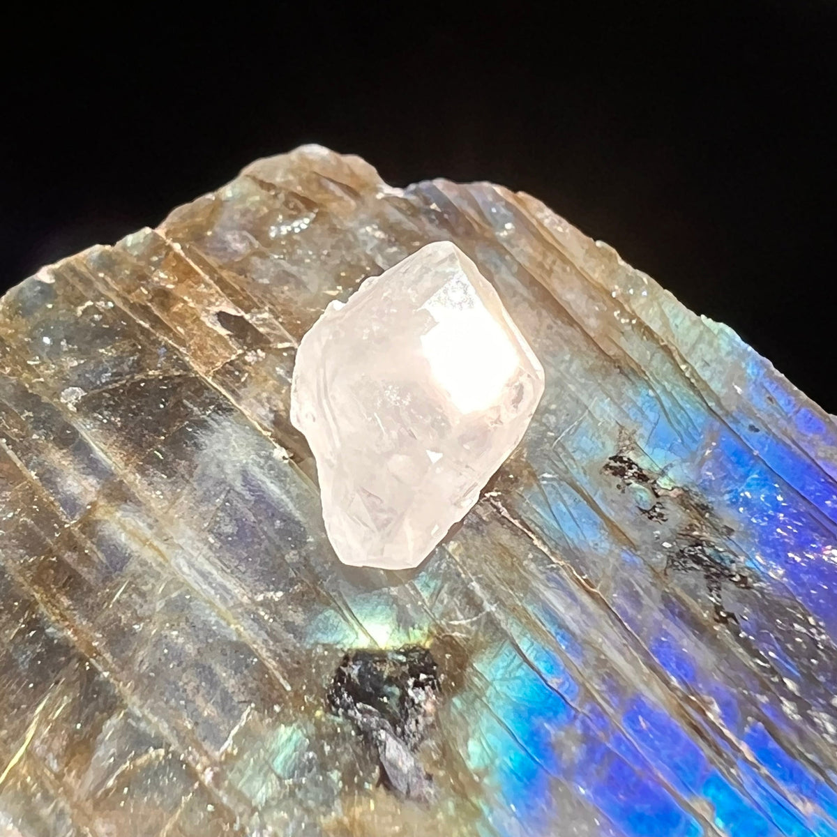 Phenacite Crystal #41-Moldavite Life