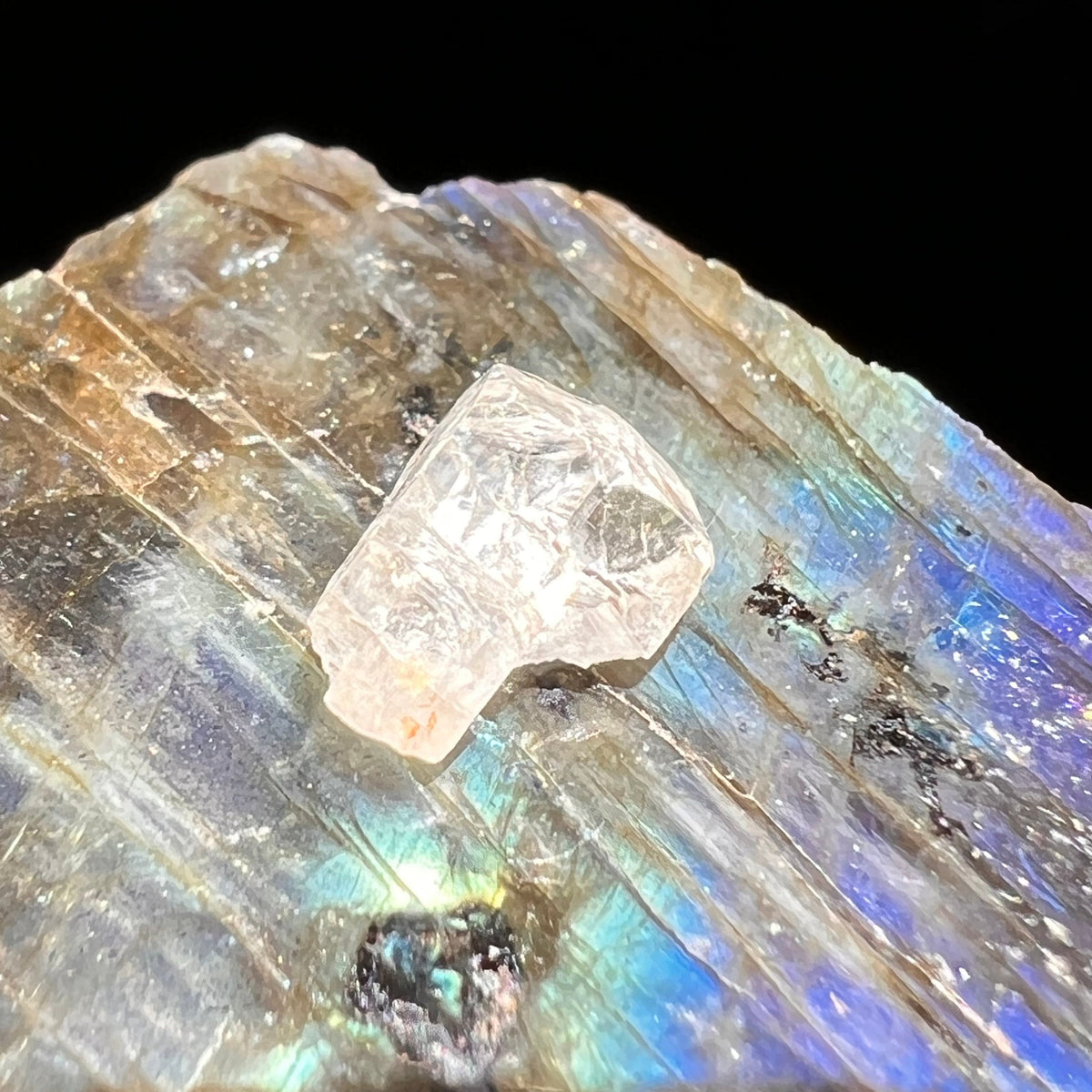 Phenacite Crystal #44-Moldavite Life