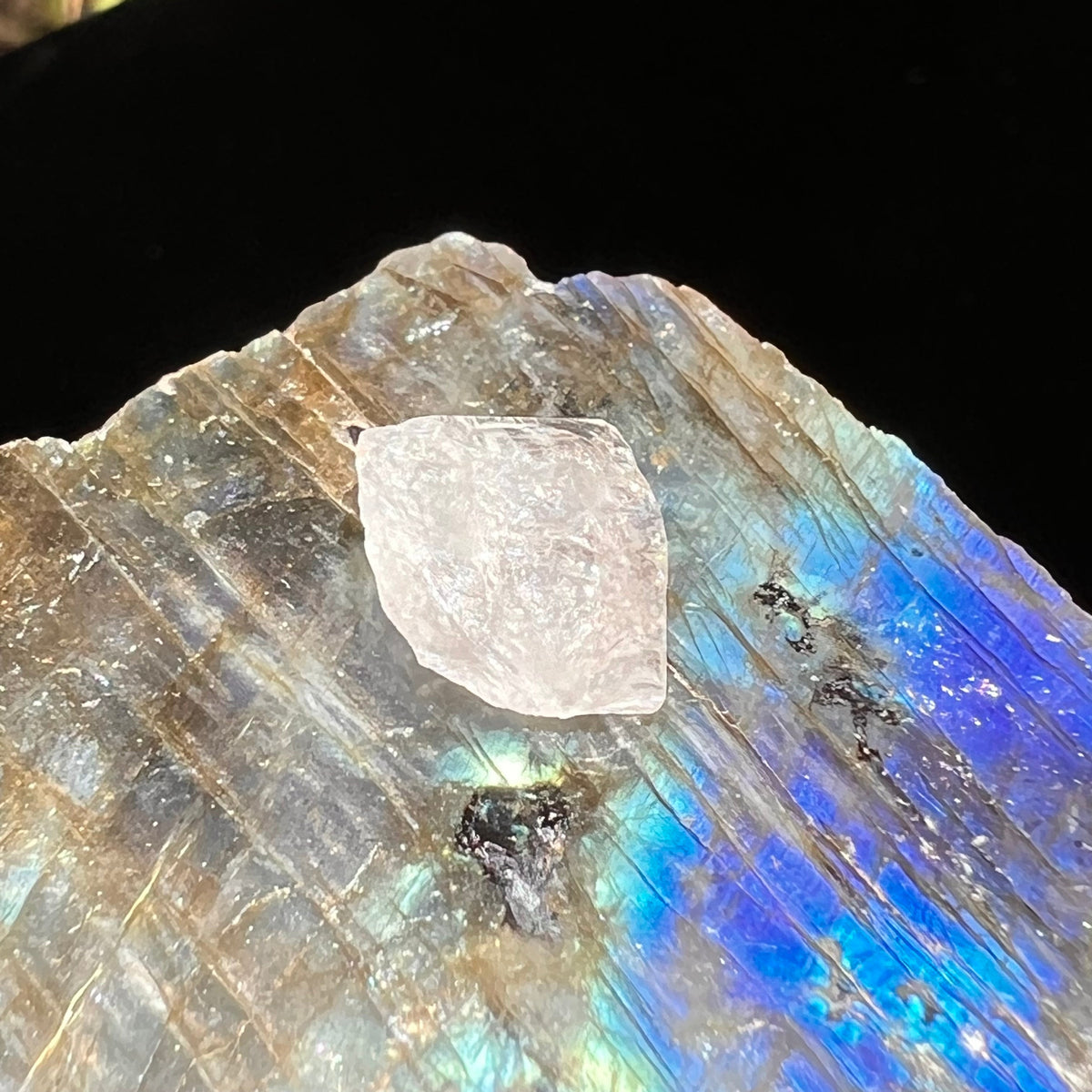Phenacite Crystal #45-Moldavite Life