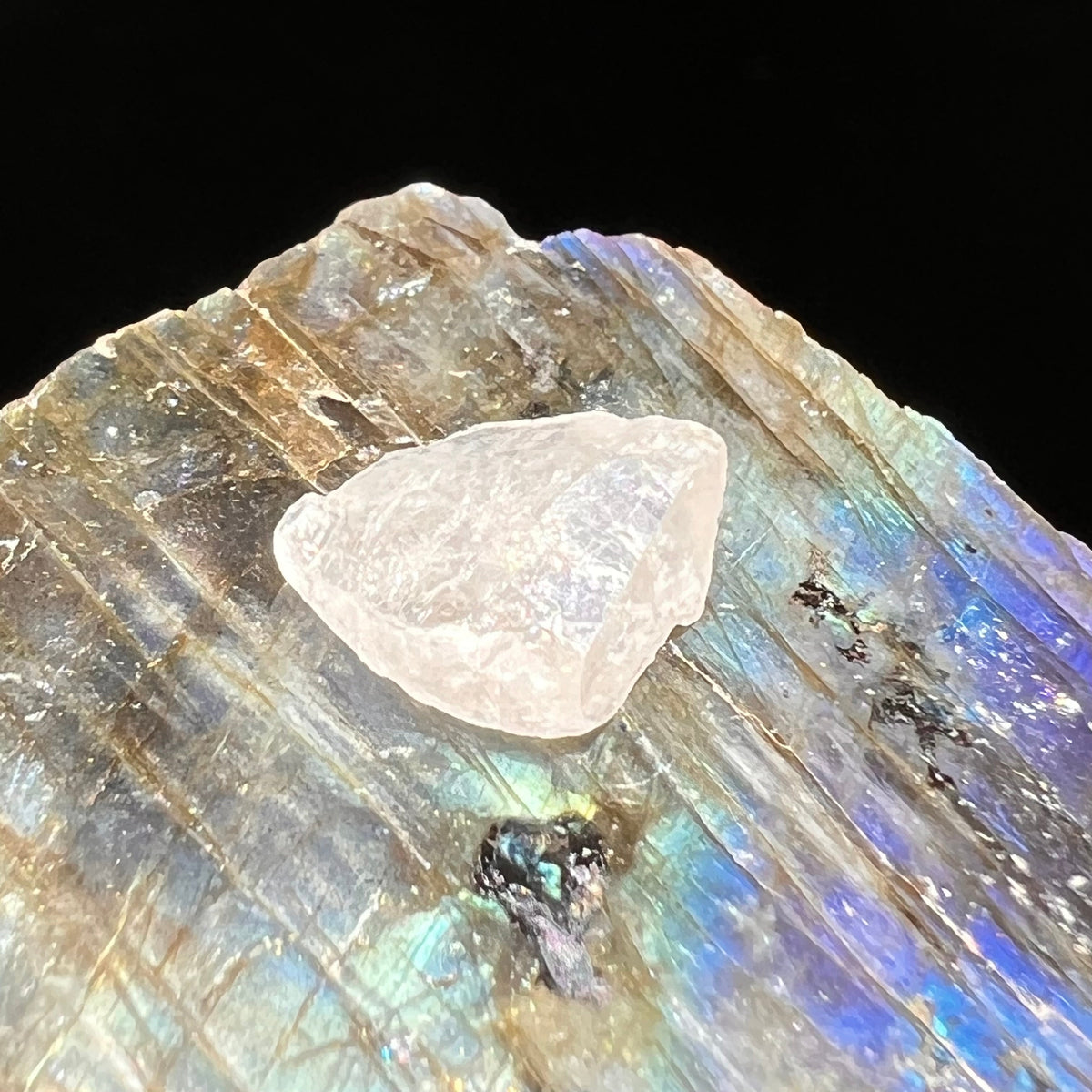 Phenacite Crystal #45-Moldavite Life