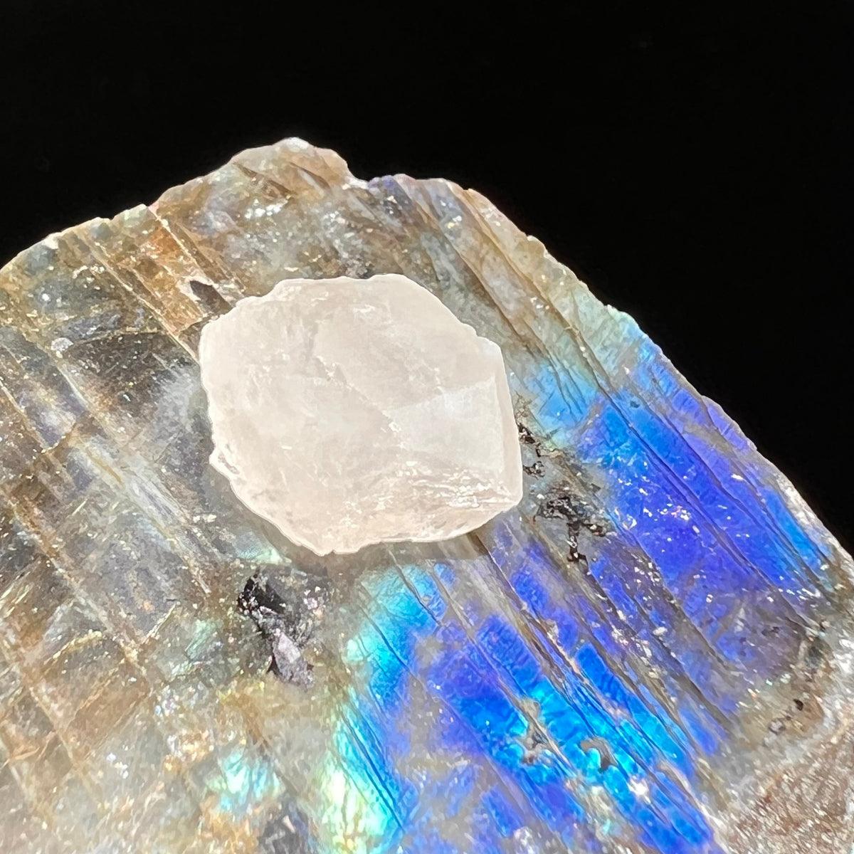 Phenacite Crystal #49-Moldavite Life