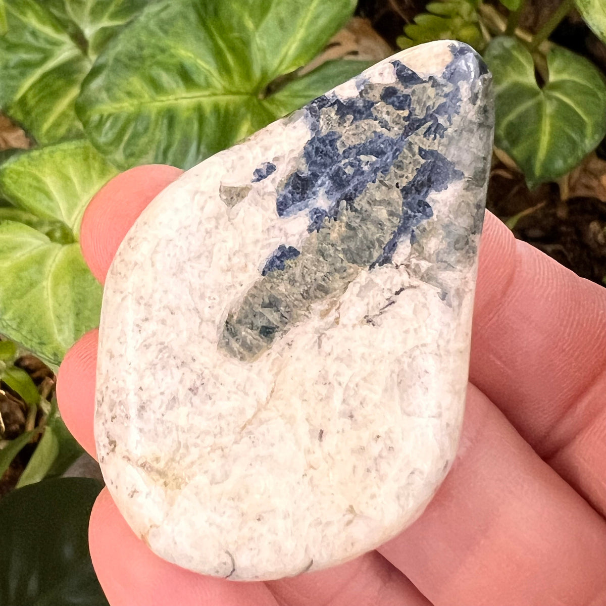 Spirit Euphoralite Palm Stone #46-Moldavite Life