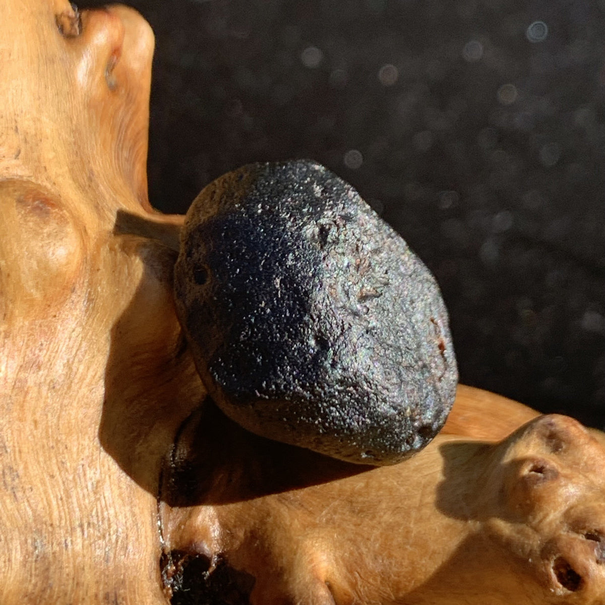 Australite Tektite 4.5 grams AU63-Moldavite Life