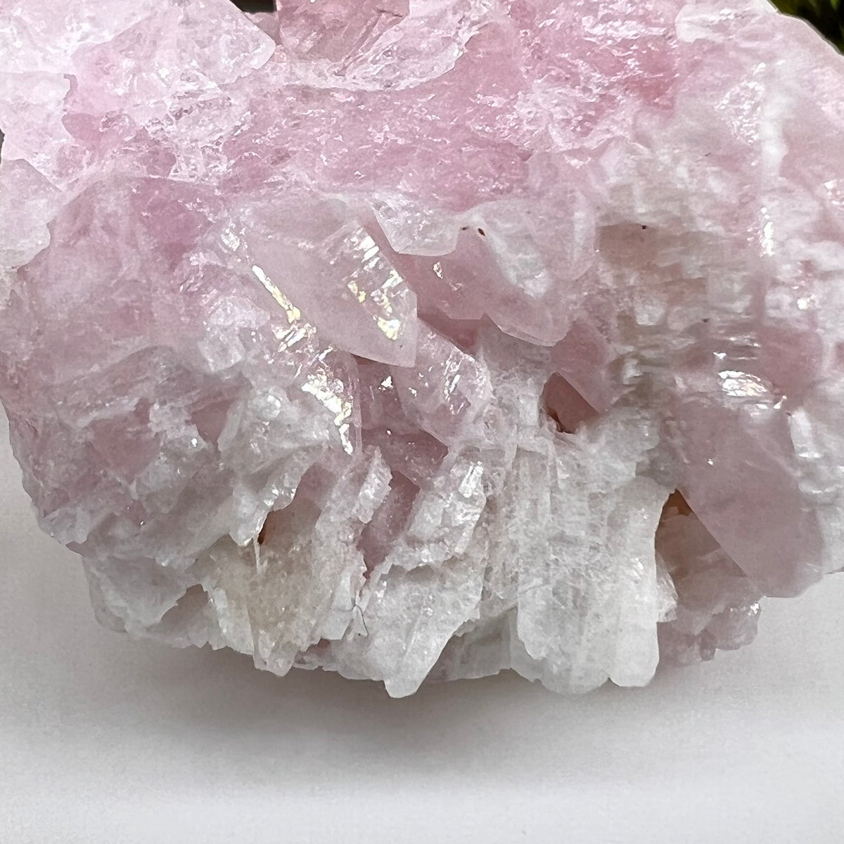 Crystalized Rose Quartz with Tourmaline #64-Moldavite Life
