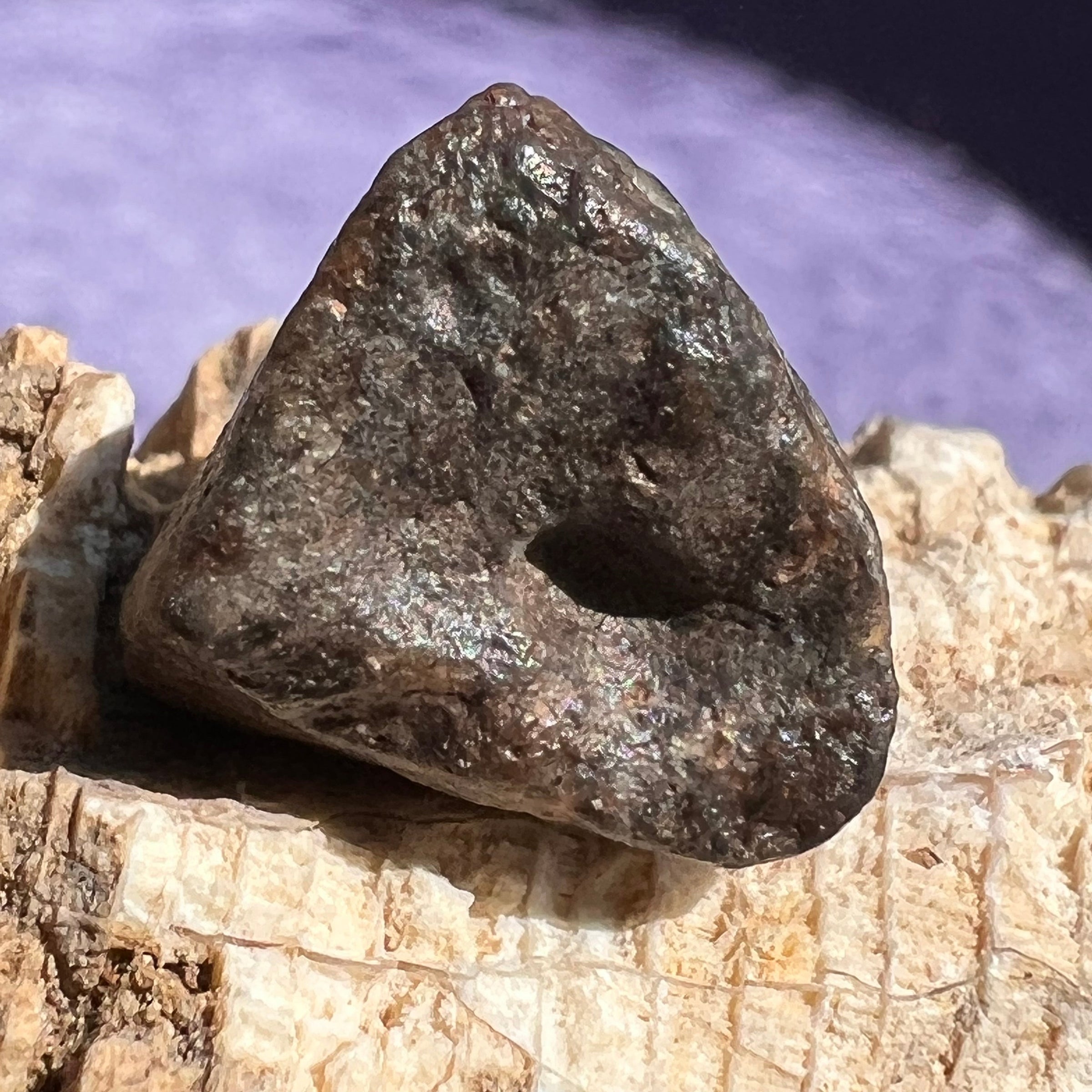 NWA 13974 Lunar Meteorite 3.8 grams #106-Moldavite Life