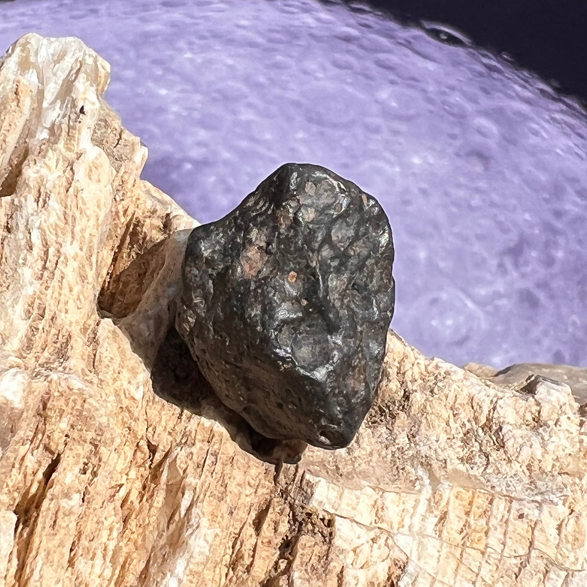NWA 13974 Lunar Meteorite 6.5 grams #108-Moldavite Life