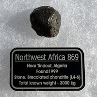 NWA 869 Meteorite Chondrite 7.8 grams-Moldavite Life