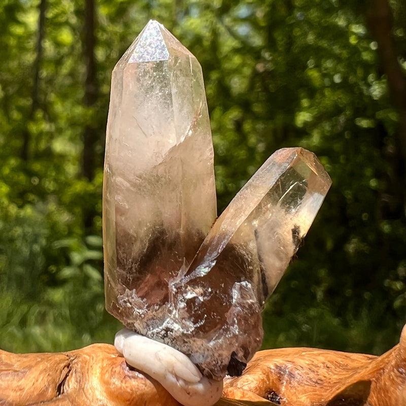 Natural Citrine Smoky Phantom Crystal #27-Moldavite Life