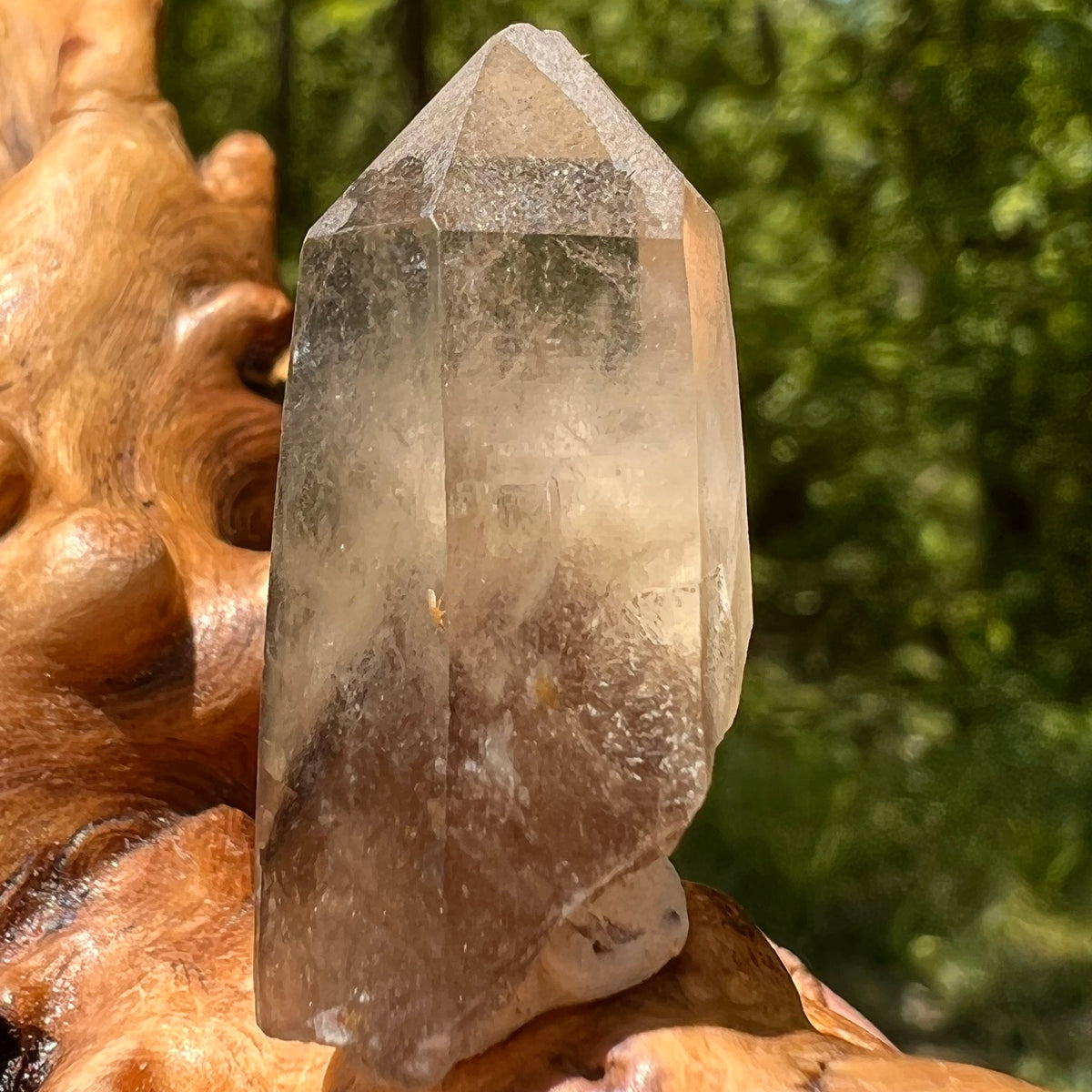 Natural Citrine Smoky Phantom Crystal Point #29-Moldavite Life