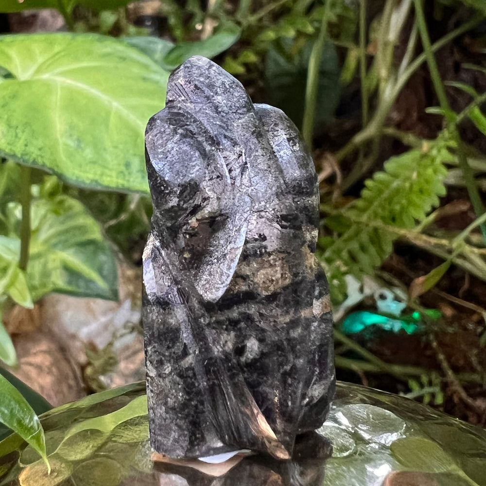 Alienite Star Beings Collection | Moldavite Life