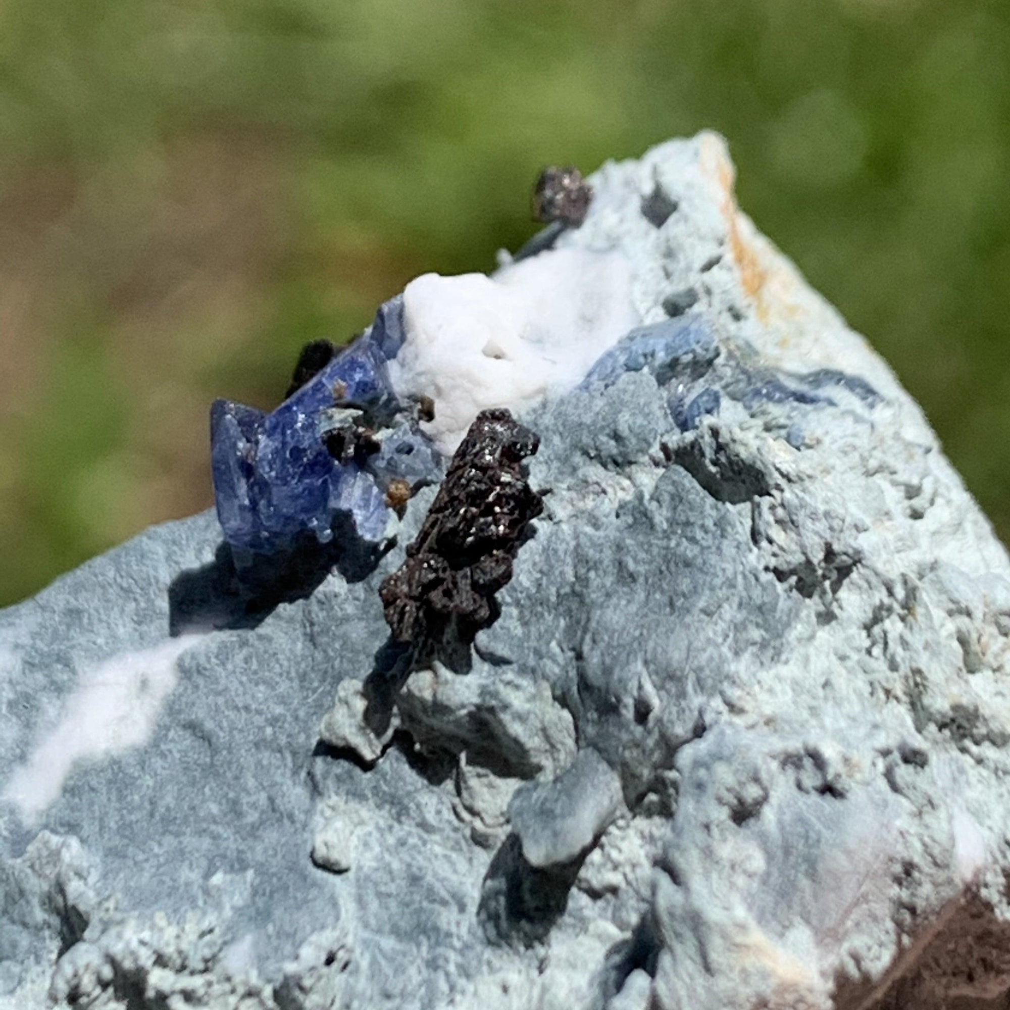 blue benitoite crystal in matrix with natrolite & neptunite
