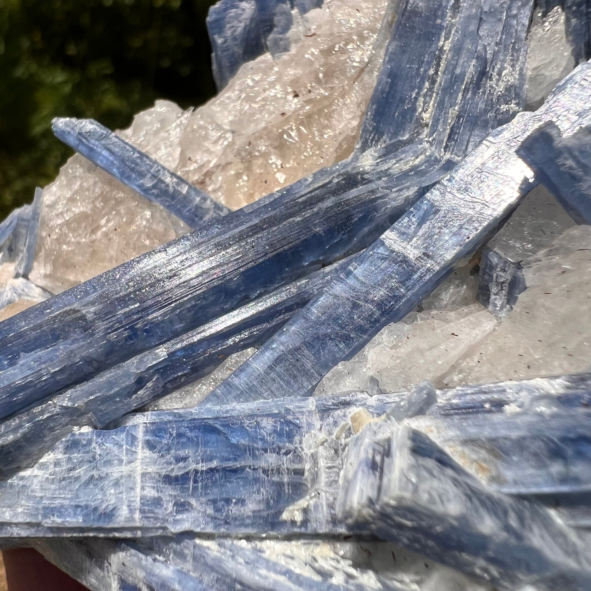 Kyanite collection