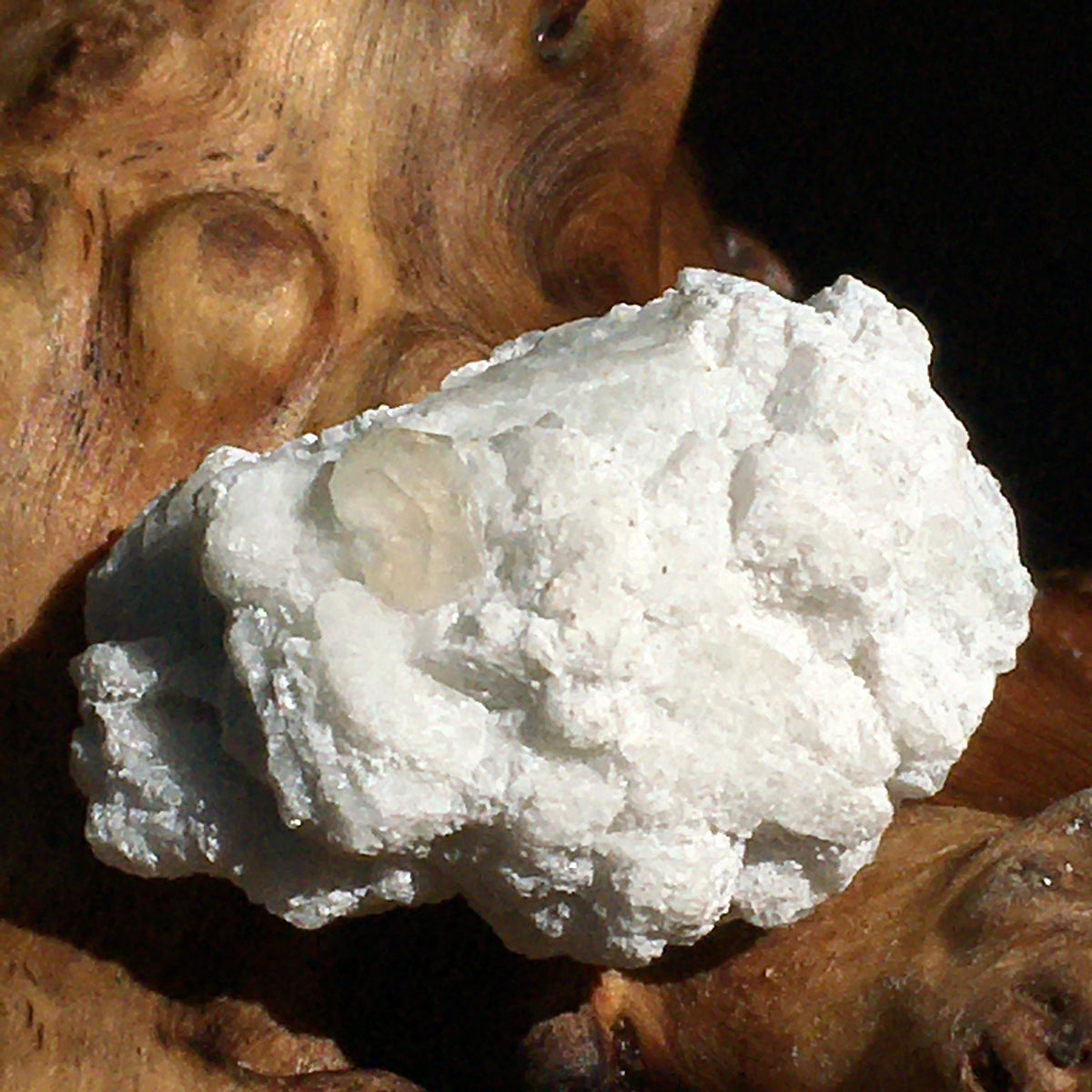 Colorado Phenacite in Matrix