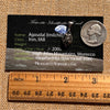 Agoudal Meteorite Drop Pendant Sterling #7416-Moldavite Life