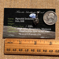 Agoudal Meteorite Drop Pendant Sterling #7416-Moldavite Life