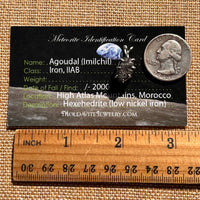 Agoudal Meteorite Pendant Sterling Silver #7420-Moldavite Life