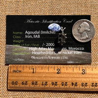 Agoudal Meteorite Pendant Sterling Silver #7424-Moldavite Life