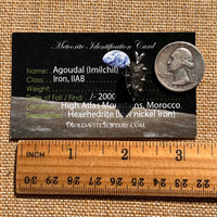 Agoudal Meteorite Pendant Sterling Silver #7426-Moldavite Life