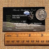 Agoudal Meteorite Pendant Sterling Silver #7427-Moldavite Life