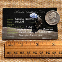 Agoudal Meteorite Pendant Sterling Silver #7433-Moldavite Life