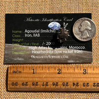 Agoudal Meteorite Pendant Sterling Silver #7437-Moldavite Life