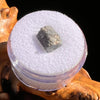 Alexandrite Crystal #21-Moldavite Life