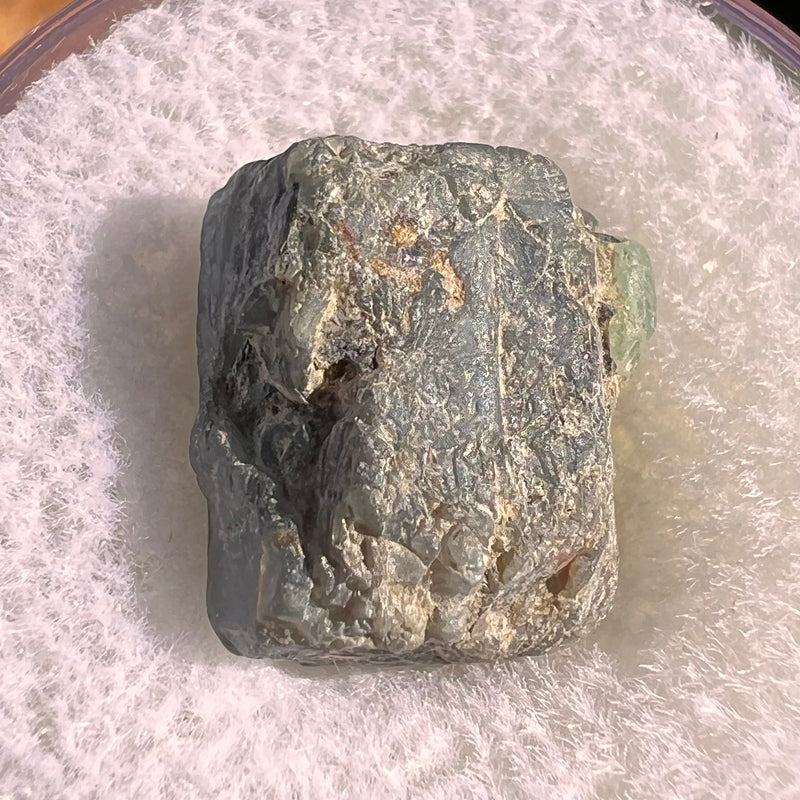 Alexandrite Crystal #22-Moldavite Life