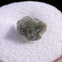 Alexandrite Crystal #29-Moldavite Life