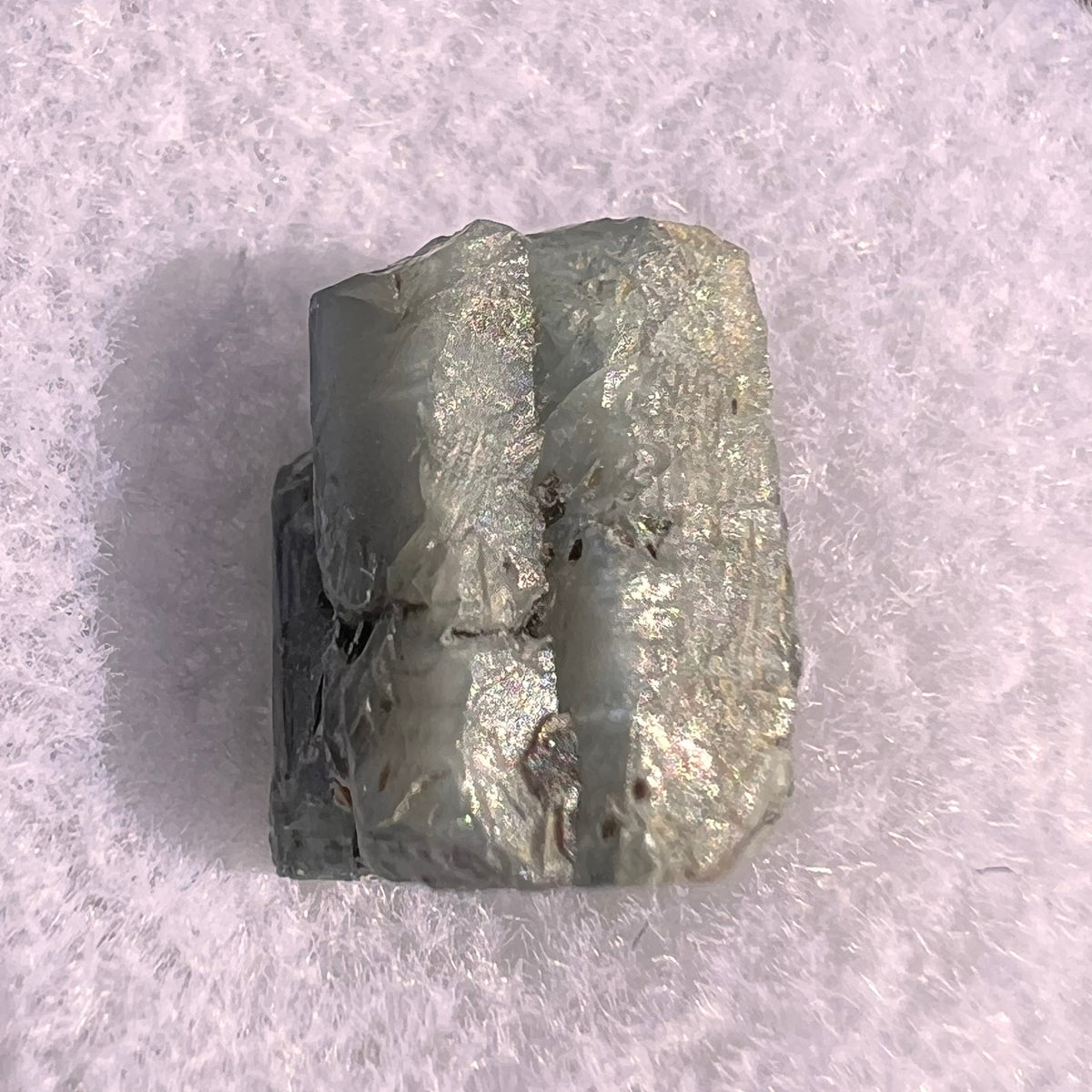 Alexandrite Crystal #31-Moldavite Life