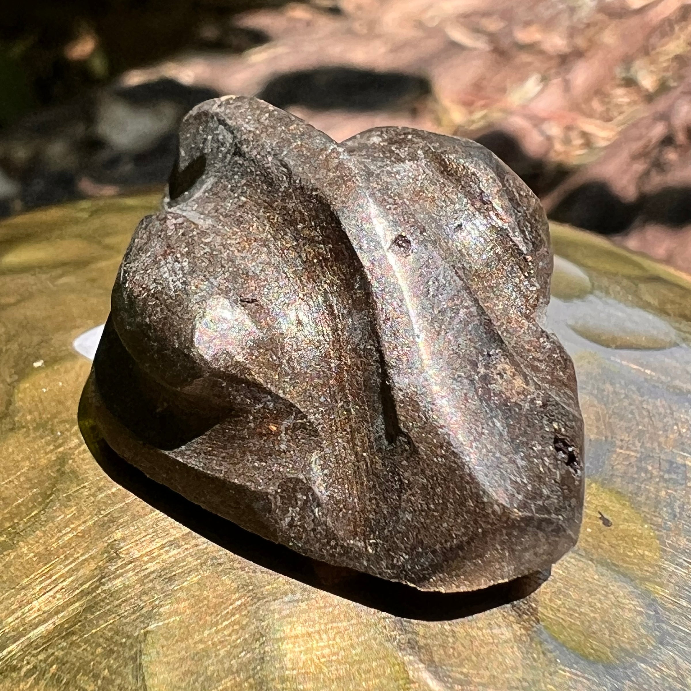 Alien Crystal Carving - Alienite® Cabochon #43-Moldavite Life