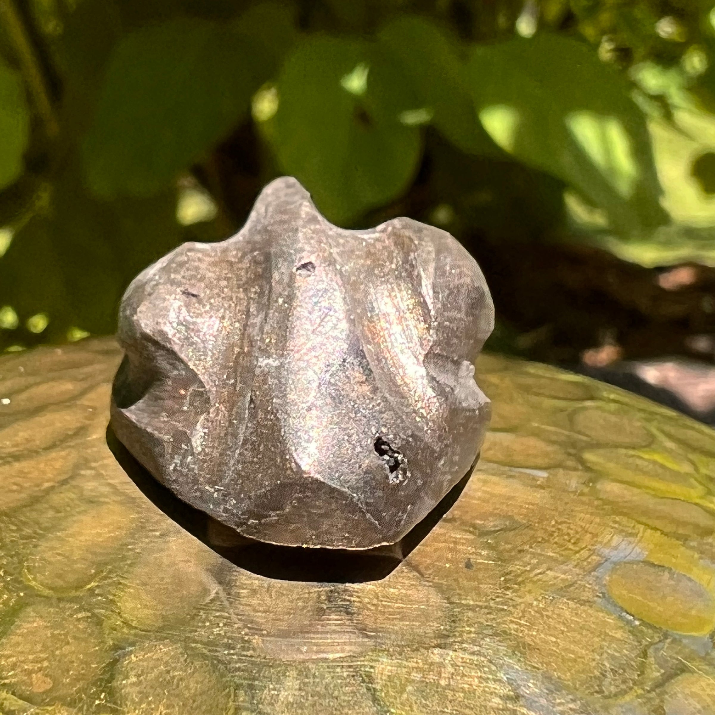 Alien Crystal Carving - Alienite® Cabochon #43-Moldavite Life