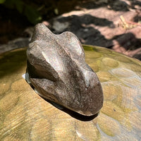 Alien Crystal Carving - Alienite® Cabochon #60-Moldavite Life