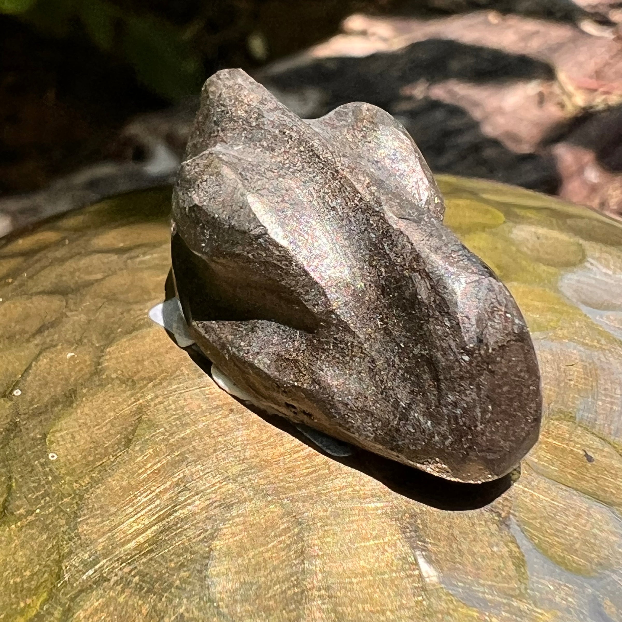 Alien Crystal Carving - Alienite® Cabochon #60-Moldavite Life