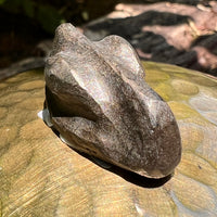 Alien Crystal Carving - Alienite® Cabochon #60-Moldavite Life