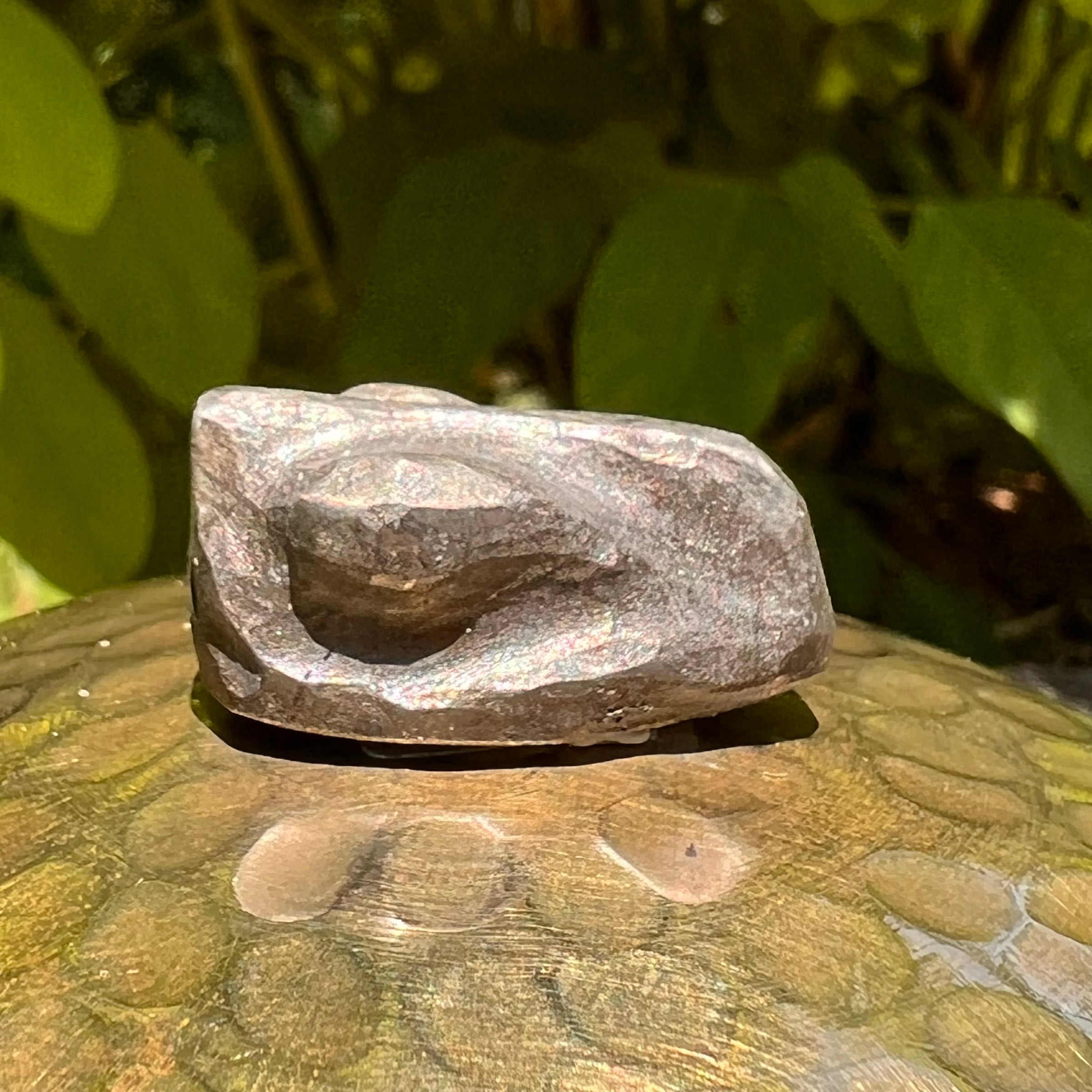 Alien Crystal Carving - Alienite® Cabochon #60-Moldavite Life