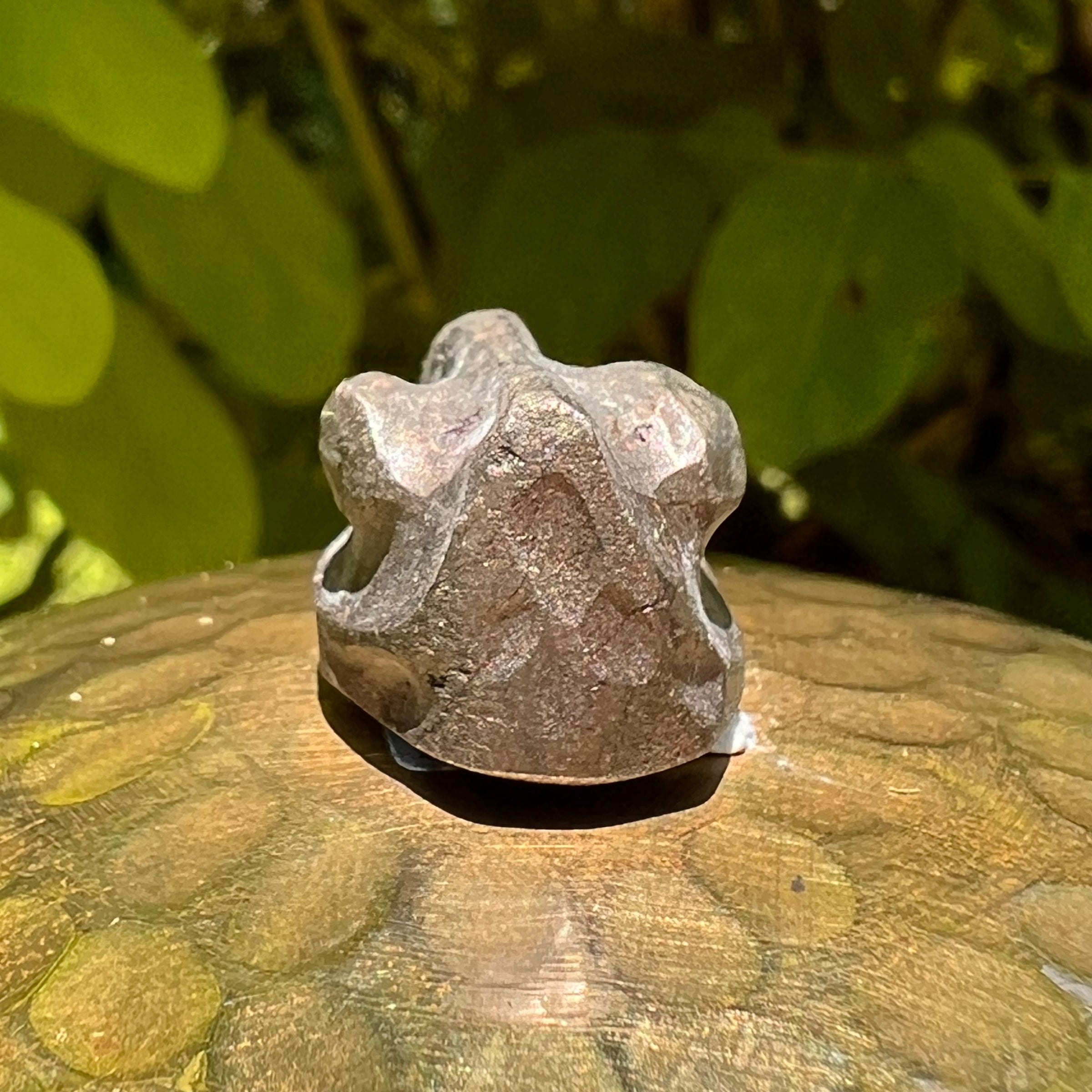 Alien Crystal Carving - Alienite® Cabochon #60-Moldavite Life