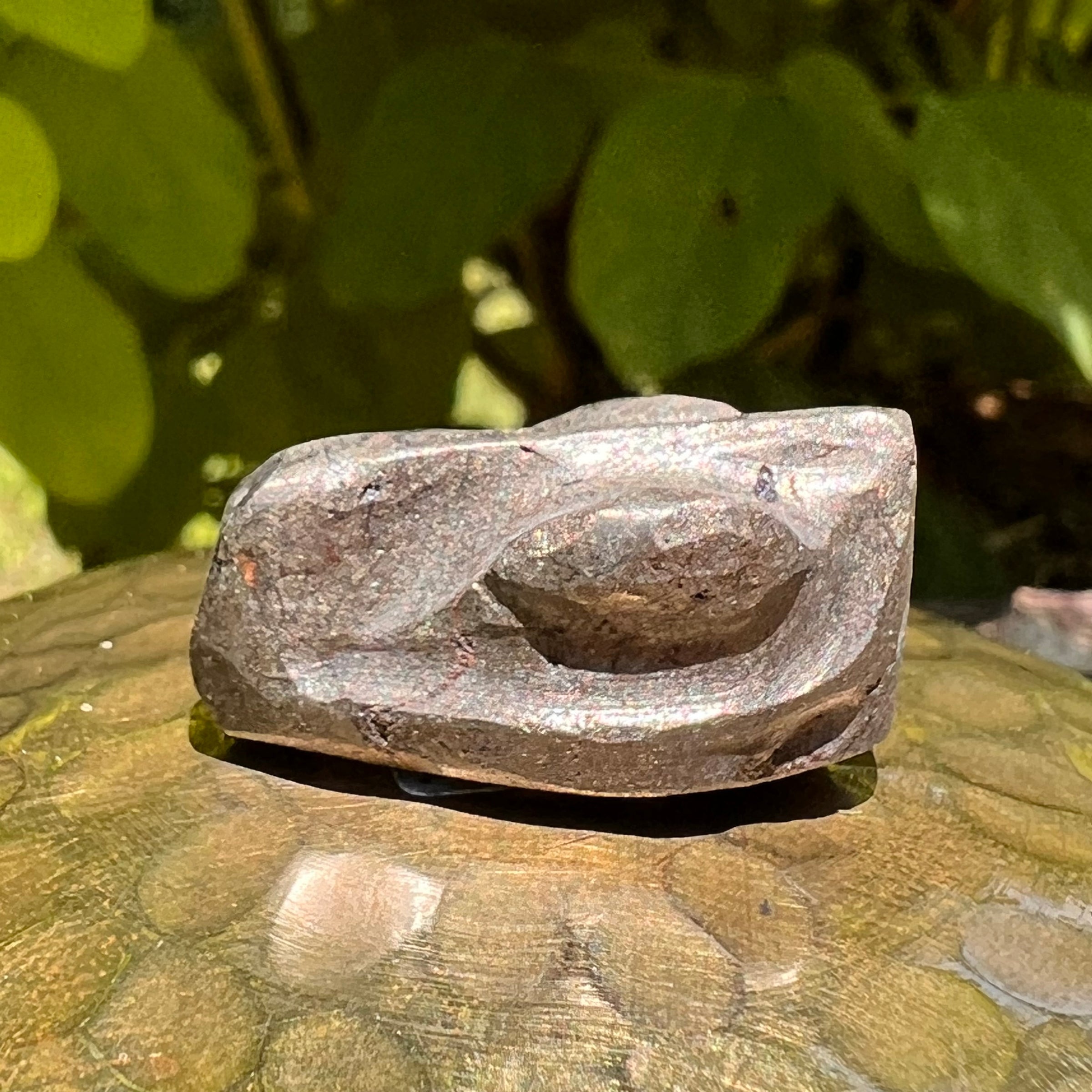 Alien Crystal Carving - Alienite® Cabochon #60-Moldavite Life