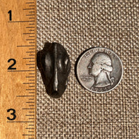 Alien Crystal Carving - Alienite® Cabochon #60-Moldavite Life