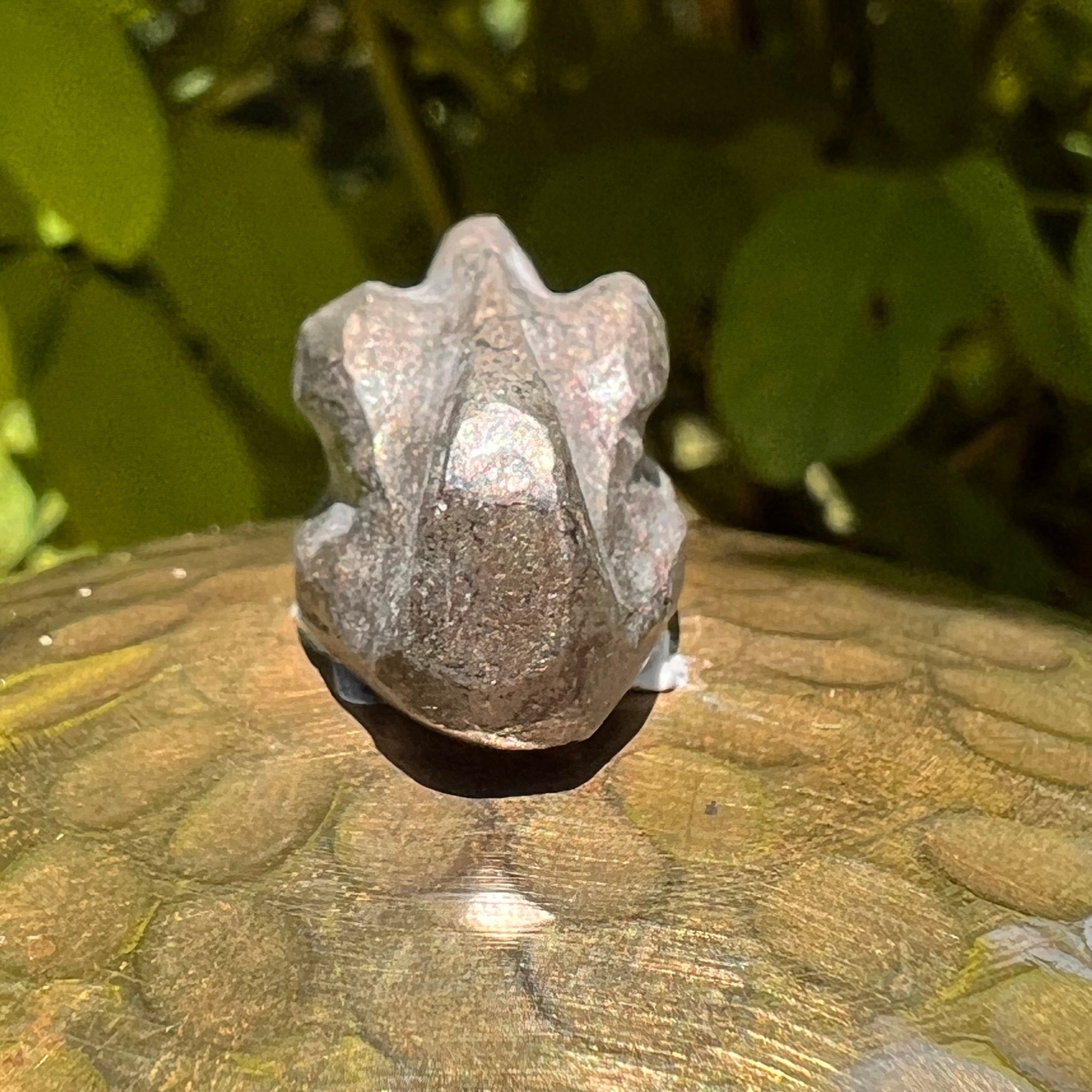 Alien Crystal Carving - Alienite® Cabochon #60-Moldavite Life