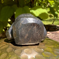 Alien Crystal Carving - Alienite® Star Being #16-Moldavite Life