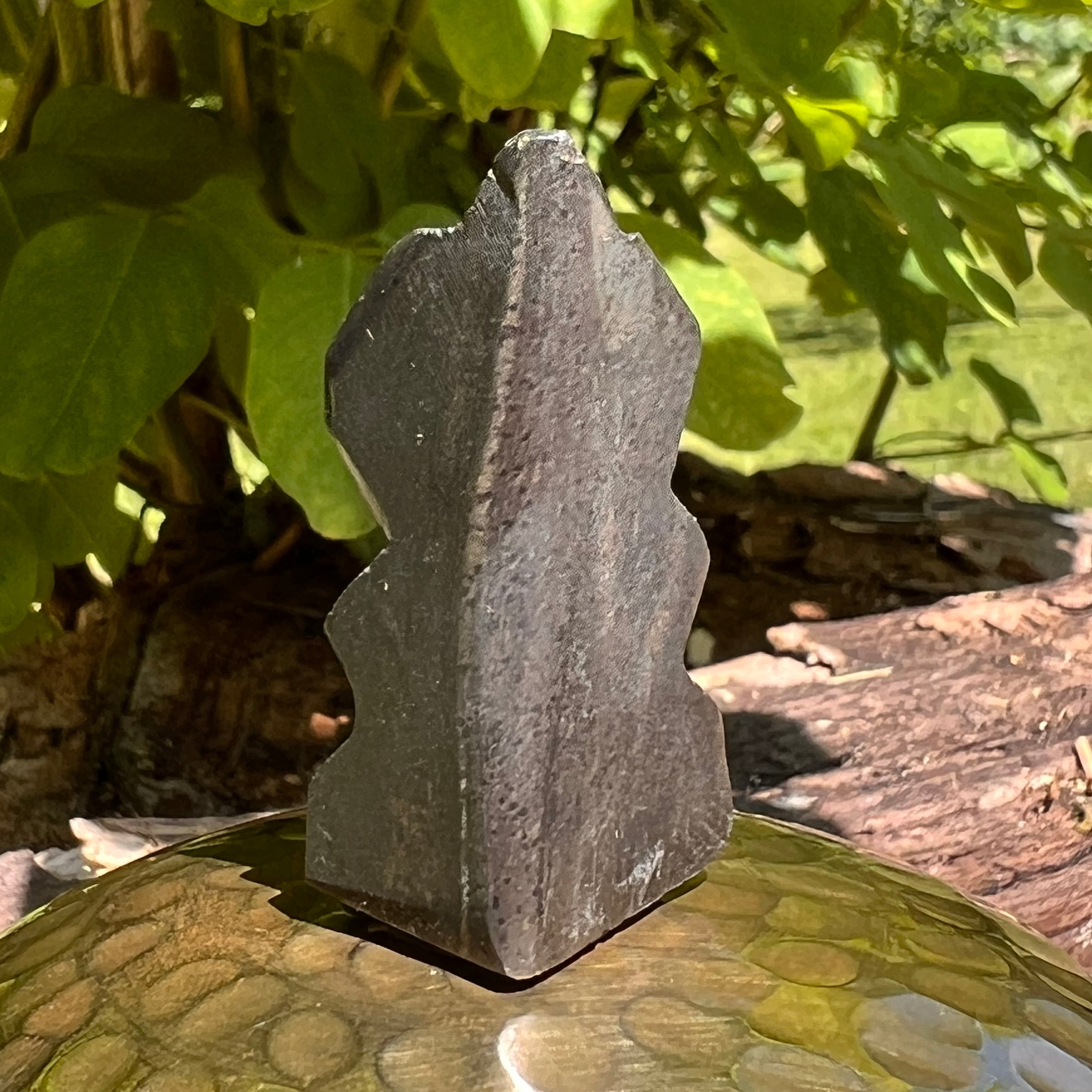 Alien Crystal Carving - Alienite® Star Being #17-Moldavite Life