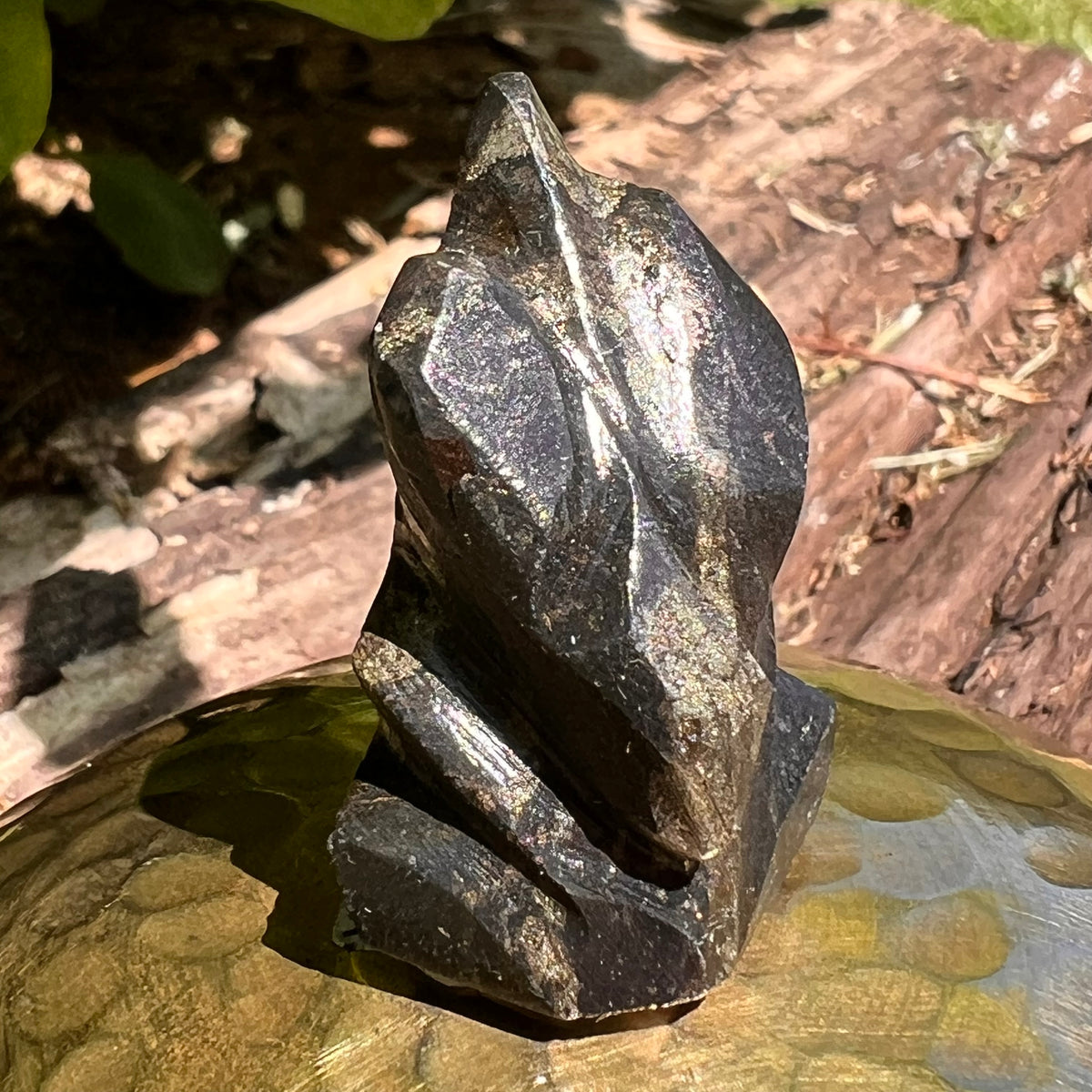Alien Crystal Carving - Alienite® Star Being #18-Moldavite Life