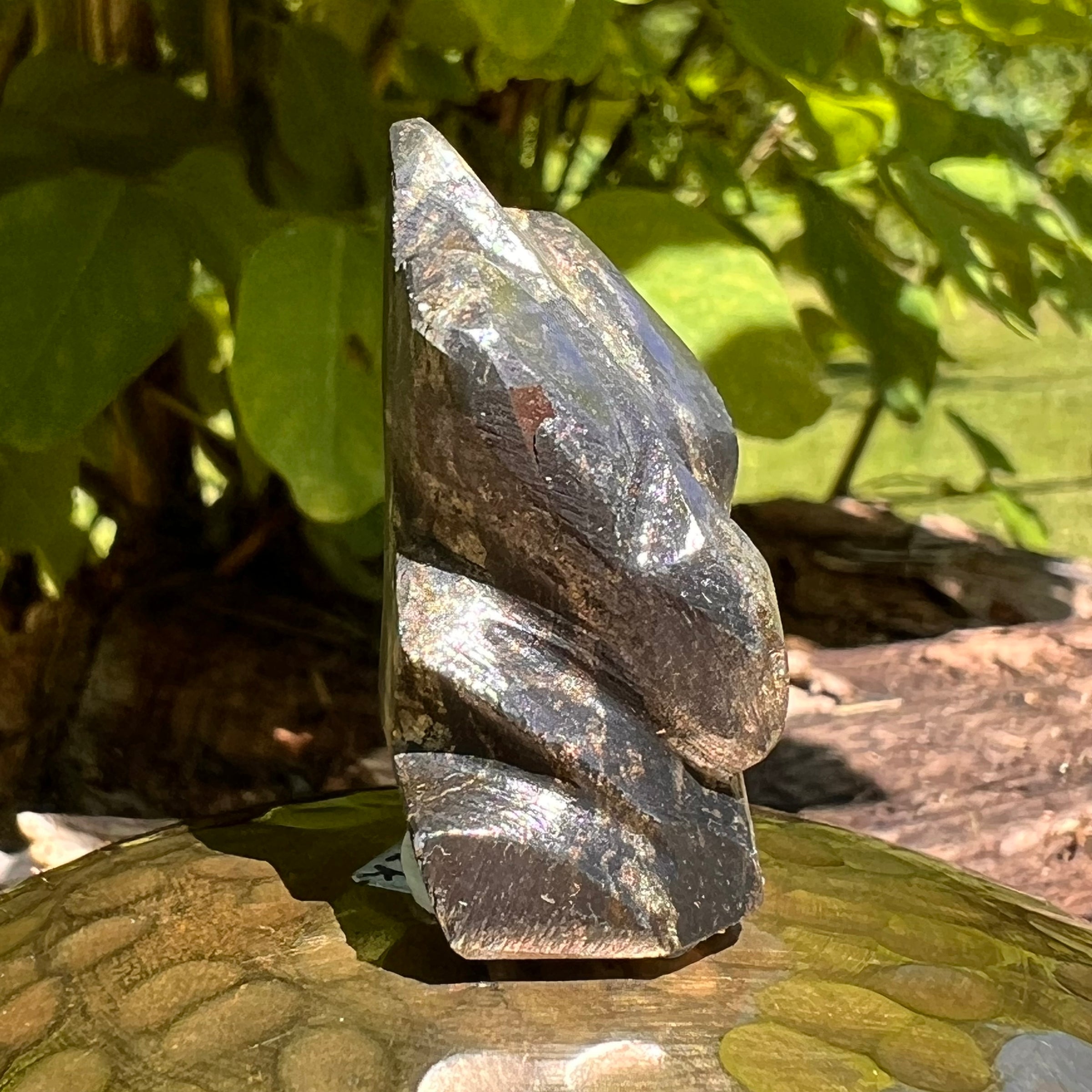 Alien Crystal Carving - Alienite® Star Being #18-Moldavite Life