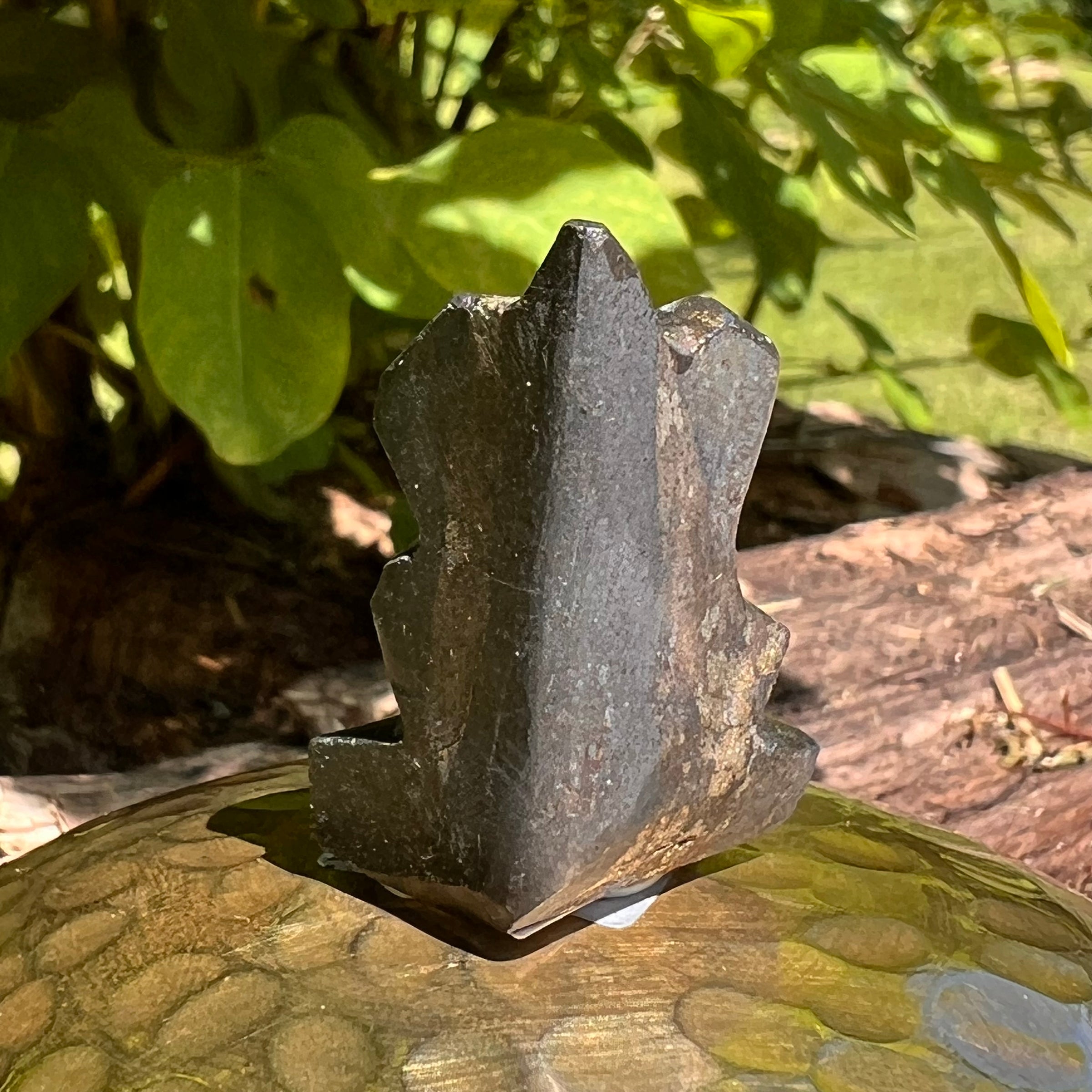 Alien Crystal Carving - Alienite® Star Being #18-Moldavite Life