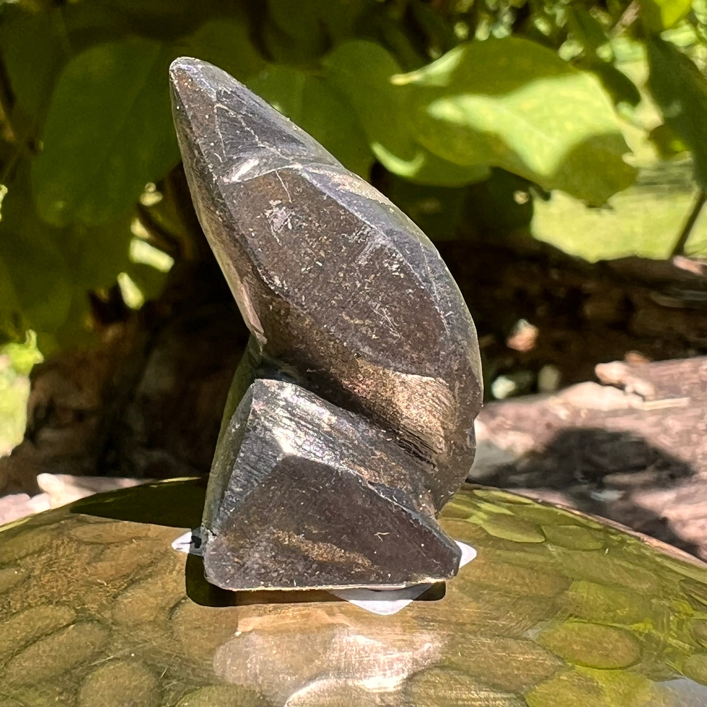 Alien Crystal Carving - Alienite® Star Being #19-Moldavite Life
