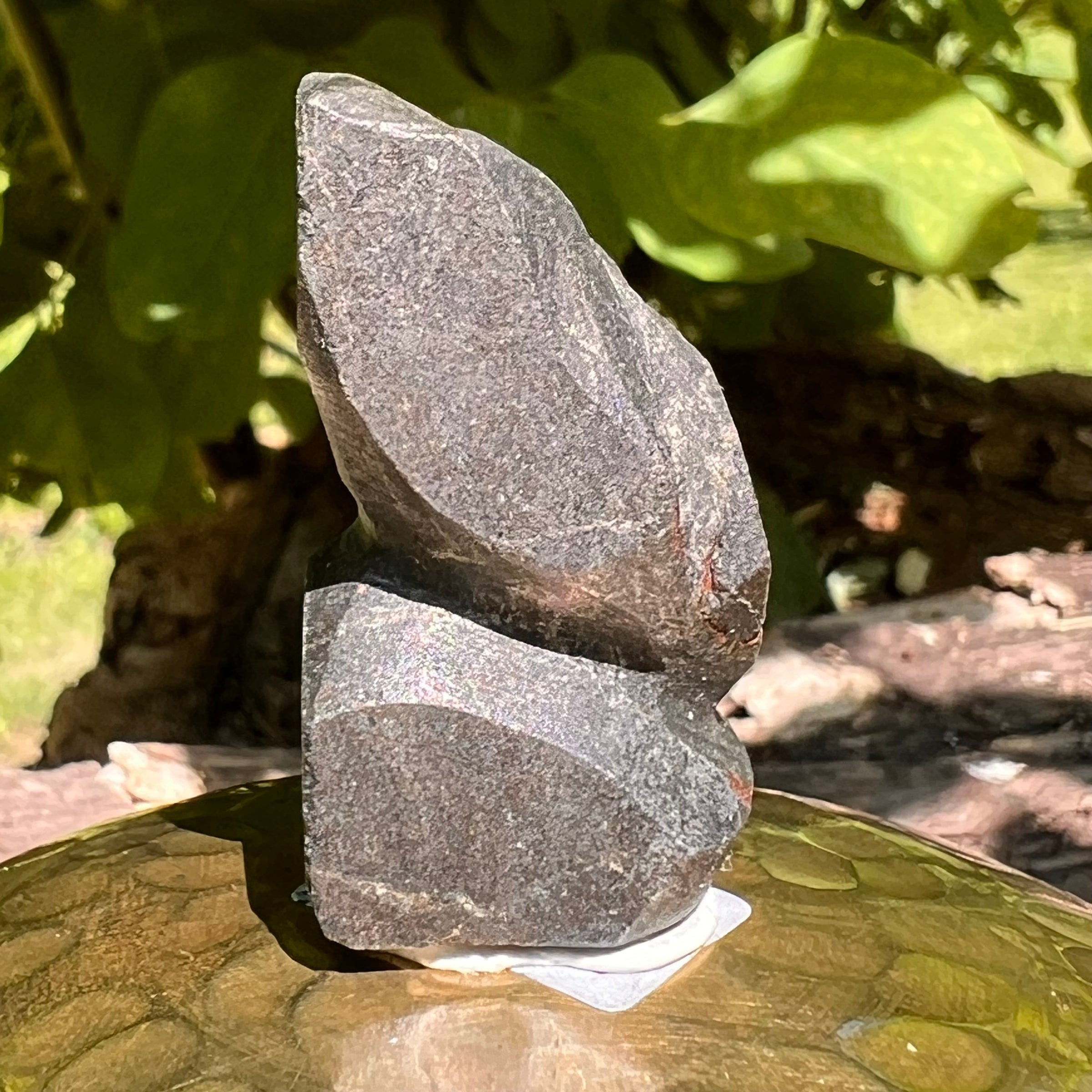 Alien Crystal Carving - Alienite® Star Being #23-Moldavite Life