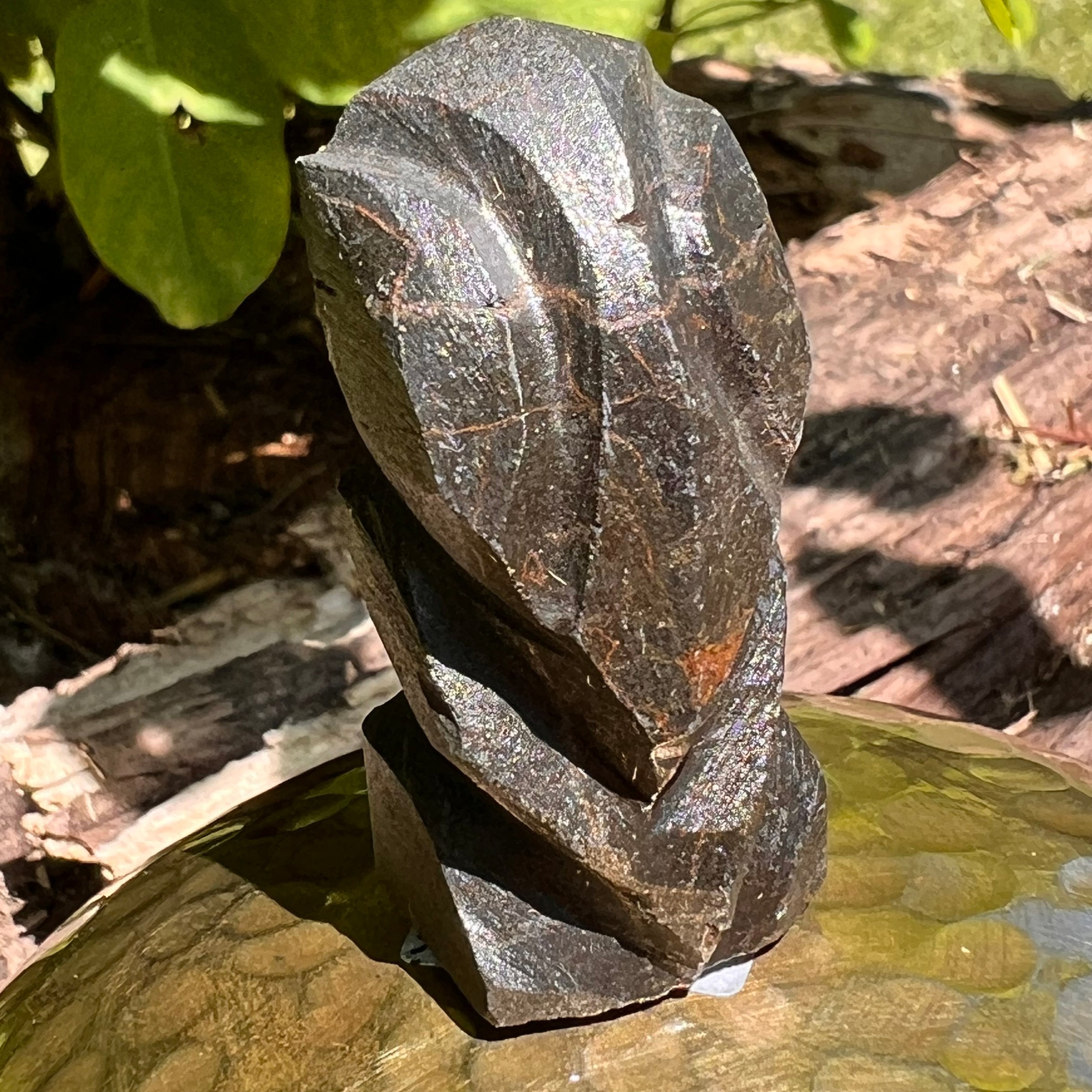 Alien Crystal Carving - Alienite® Star Being #24-Moldavite Life